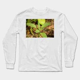 slb borage Long Sleeve T-Shirt